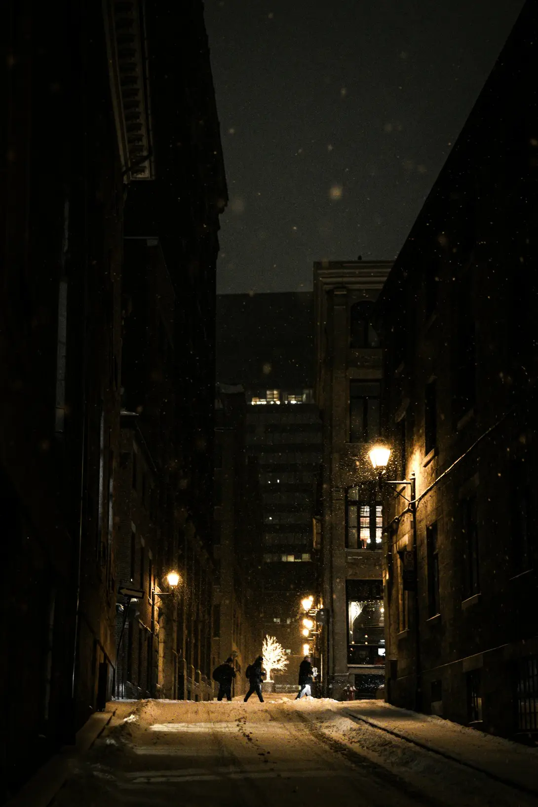 Sentier boisé sous la neige